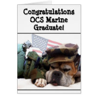 Congratulations OCS Marine boxer dog greeting card