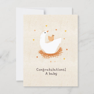 Congratulations on a baby chick postcard