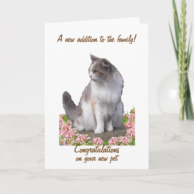 Congratulations on new pet cards, customize card (Front)
