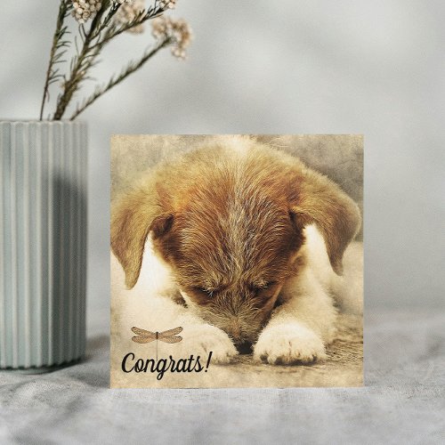 Congratulations on New Pet Dog Card