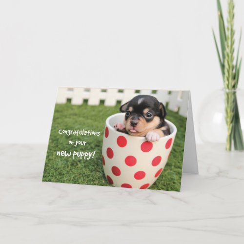 Congratulations on New Puppy Adoption Chihuahua Card