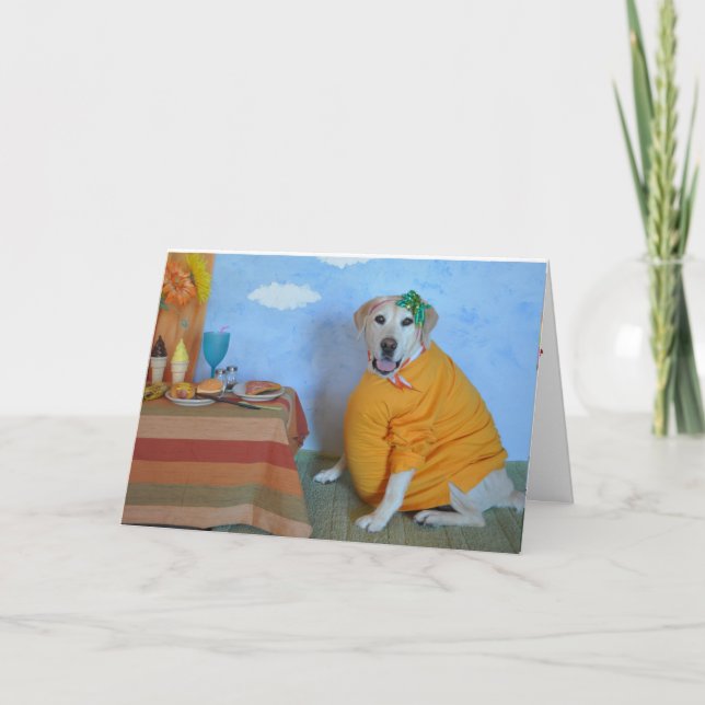 Congratulations on pregnancy greeting card (Front)