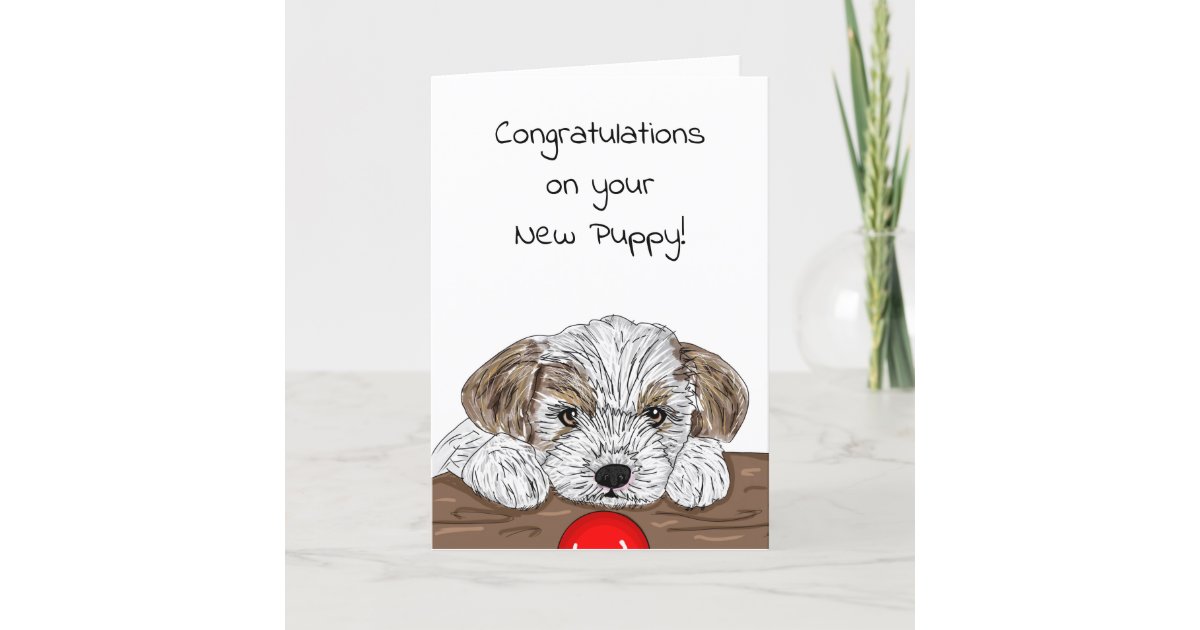 congratulations puppy