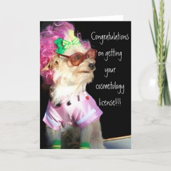 Congratulations On Your Cosmetology License Card by ritmoboxer at Zazzle