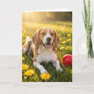 Congratulations on your New Beagle Card