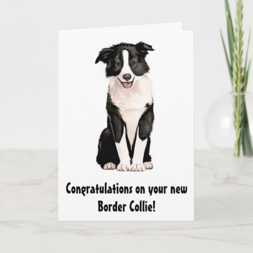 Congratulations on Your New Border Collie Card