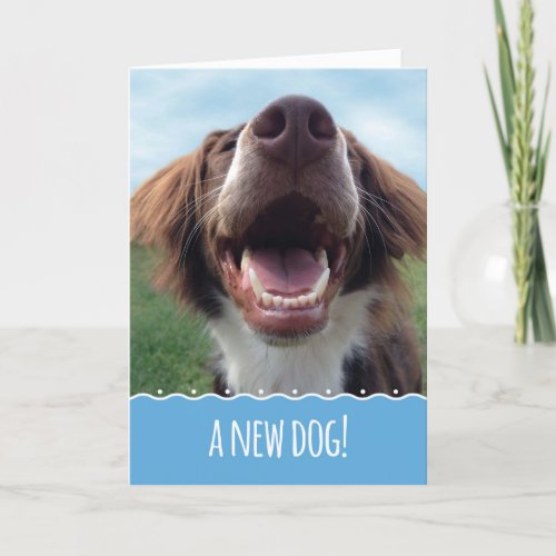 Congratulations on Your New Dog Happy Pup Card