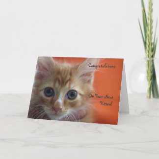 Congratulations on Your New Kitten Card