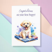 Congratulations on your New Puppy!