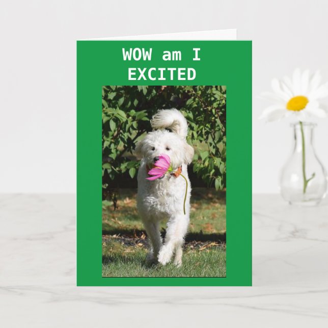 CONGRATULATIONS ON YOUR **PROMOTION** CARD (Small Plant)