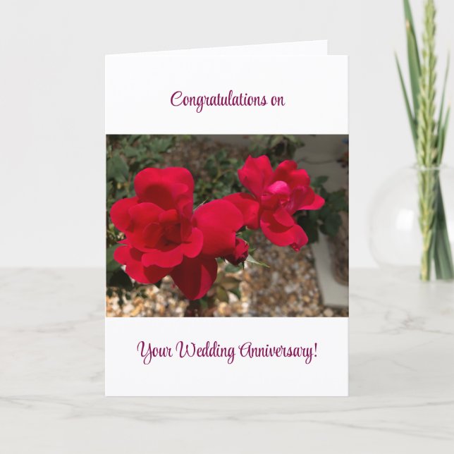 Congratulations on Your Wedding Anniversary! Card (Front)