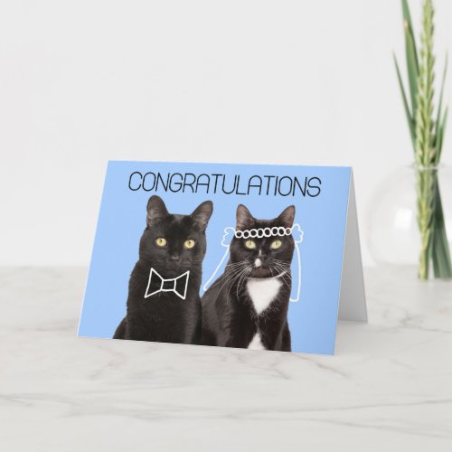 Congratulations on Your Wedding Cute Cat Couple Card