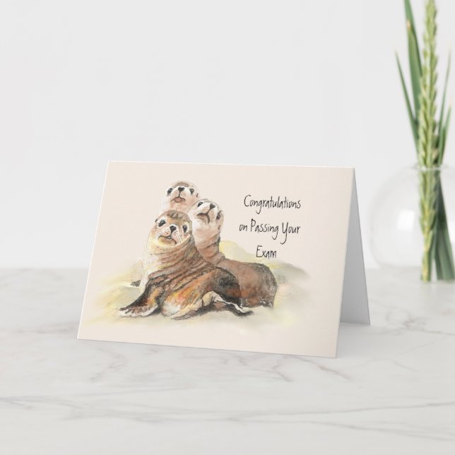 Congratulations Passing Your Exam Humor Cute Seals Card (Front)