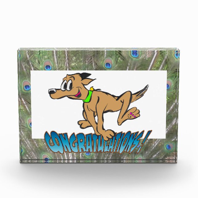 Congratulations Peacock Feathers Blue Photo Block (Front)