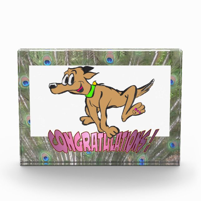 Congratulations Peacock Feathers Pink Photo Block (Front)