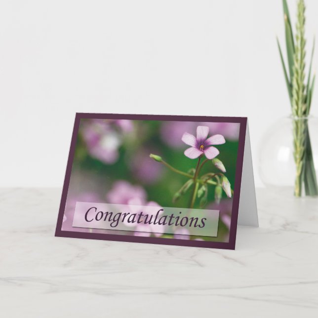 Congratulations - Pink Wood Sorrel Greeting Card (Front)