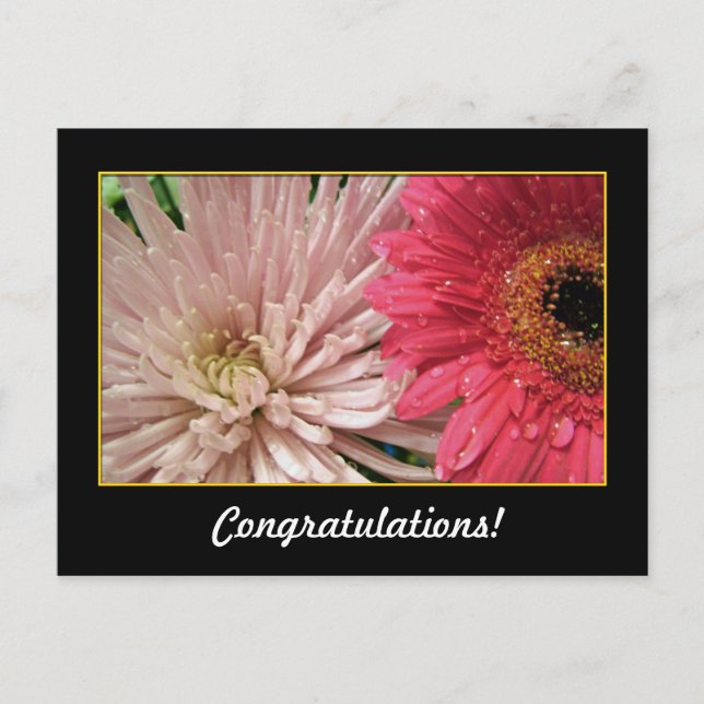 congratulations postcard (Front)