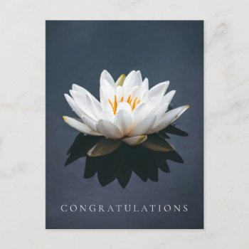 Congratulations Postcard : Lotus Postcard by TINYLOTUS at Zazzle