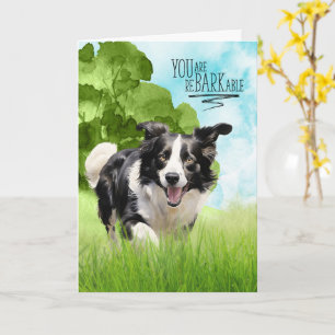 Congratulations reBARKable Border Collie Dog Card