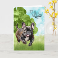 Congratulations reBARKable Brindle French Bulldog