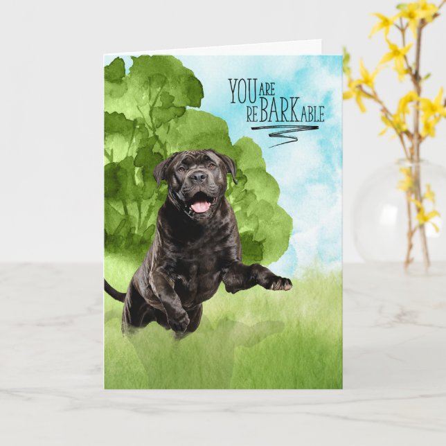 Congratulations reBARKable Cane Corso Dog Card (Yellow Flower)
