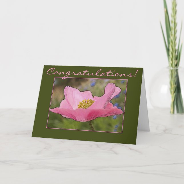 Congratulations Single Delicate Pink Poppy Photo Card (Front)
