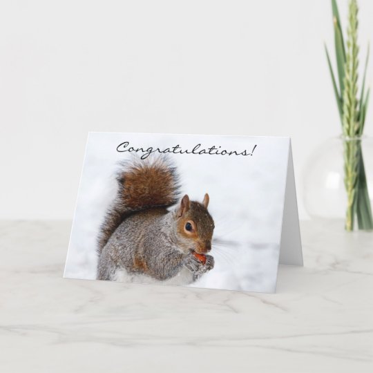 Congratulations Squirrel Greeting card | Zazzle.com