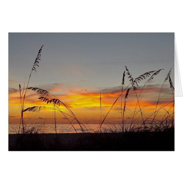 Congratulations Sunset and Sea Oats Greeting Card (Front Horizontal)