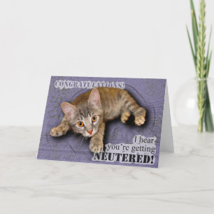 Congratulations! You're being neutered! card