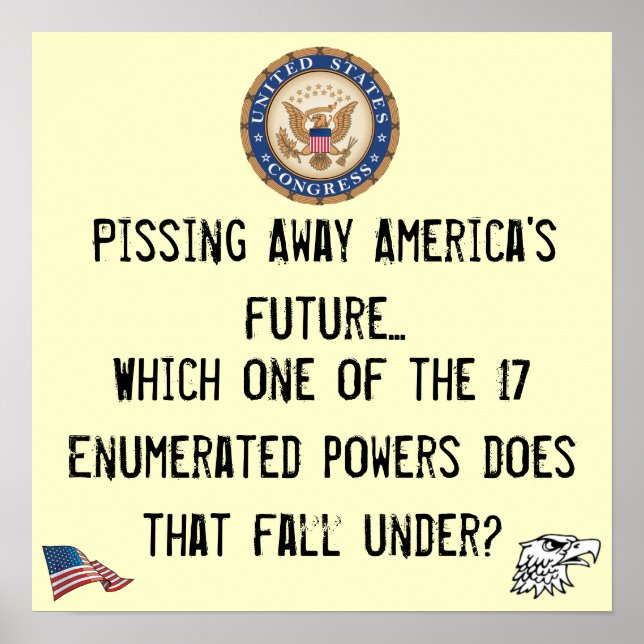 Congressional powers poster (Front)