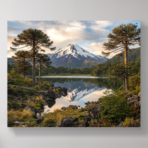 Conguillio National Park & Llaima Volcano Chile Ac Acrylic Photo Tile