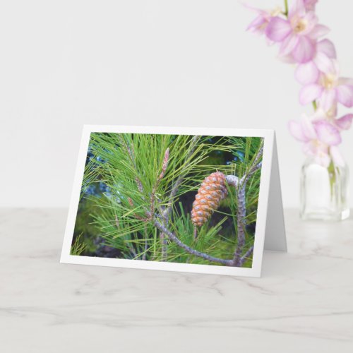 Conifer Cone on Pine Tree Card