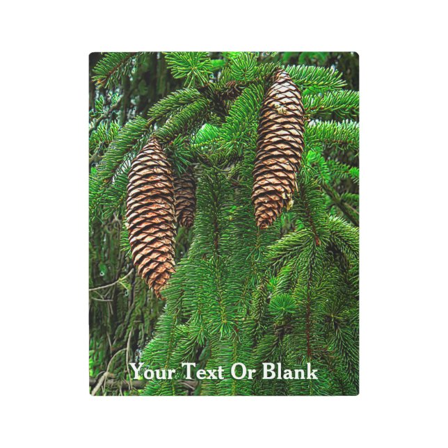Conifer Cones And Needles Metal Print (Front)