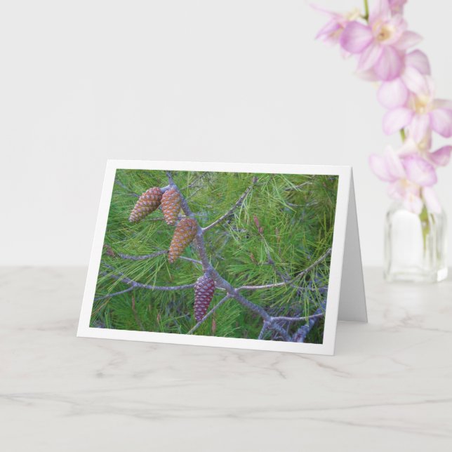 Conifer Cones on Pine Tree Card (Orchid)