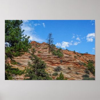 Conifer Trees Growing In Zion National Park  Utah Poster by catherinesherman at Zazzle