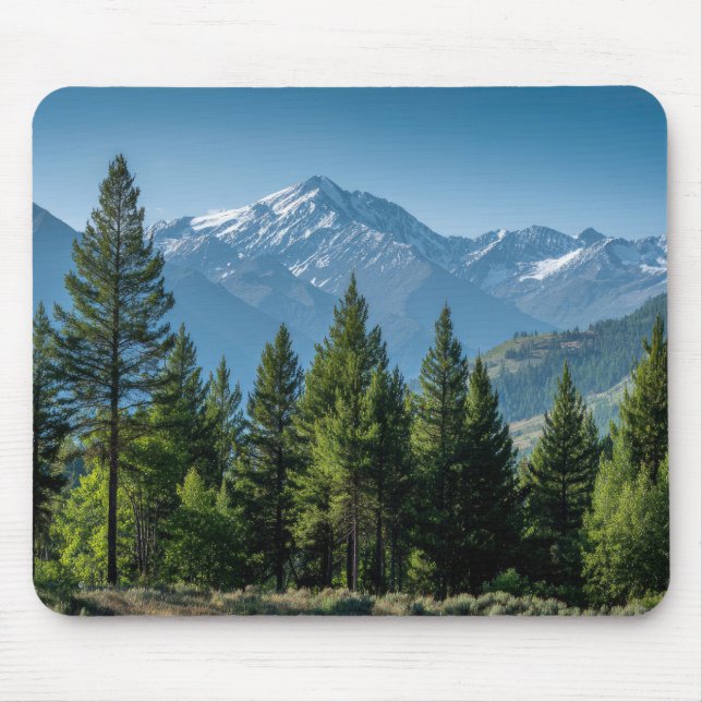 Coniferous Trees with Mountain Background Mouse Pad (Front)