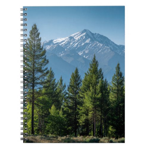 Coniferous Trees with Mountain Background Notebook