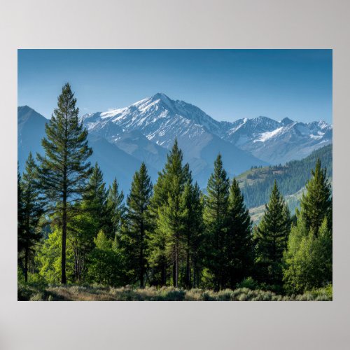 Coniferous Trees with Mountain Background Poster
