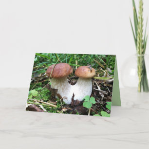 Conjoined Mushrooms Blank Photo Greeting Card