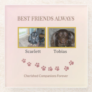 Connected Companion Tribute Glass Coaster