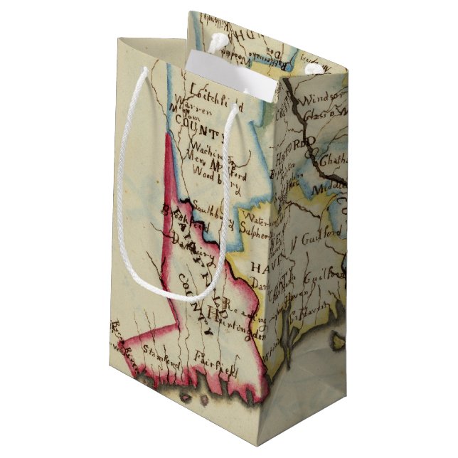 Connecticut 11 small gift bag (Back Angled)
