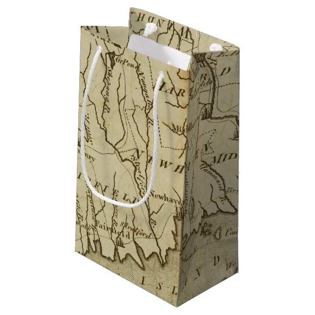 Connecticut 8 small gift bag (Back Angled)