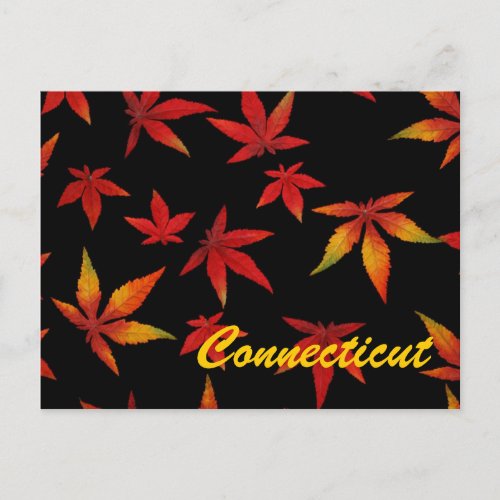 Connecticut Autumn Leaves Postcard