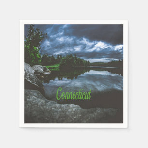 Connecticut Beutiful Lake Trees Napkins
