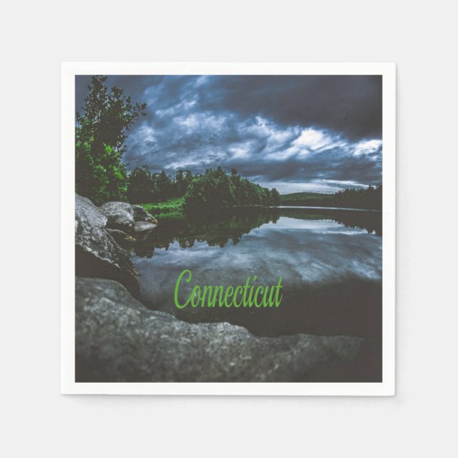 Connecticut Beutiful Lake Trees Napkins (Front)