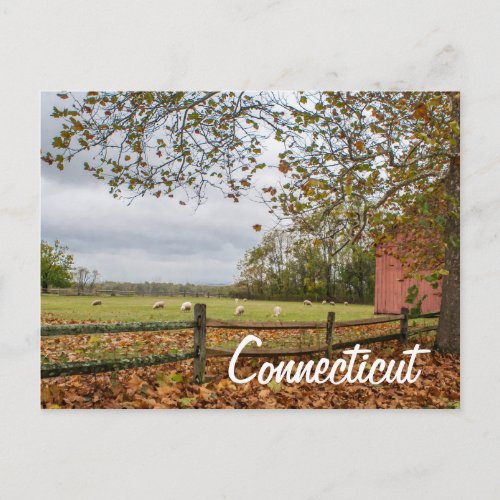 Connecticut Country Farm Postcard
