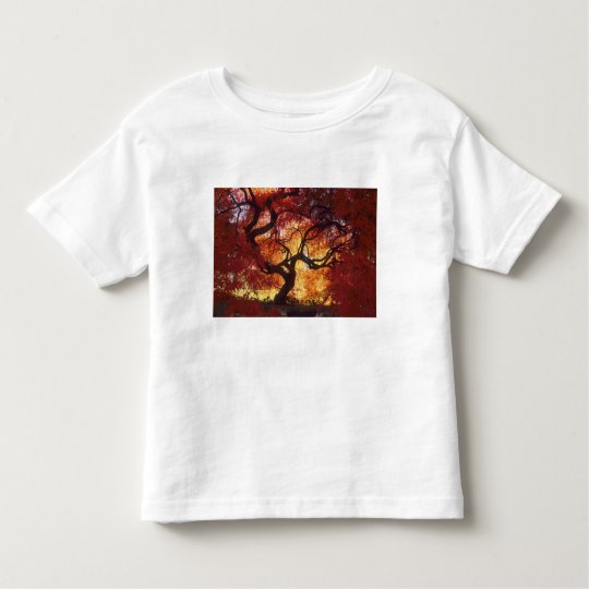 Connecticut: Darien, Japanese maple 'Acer Toddler T-shirt