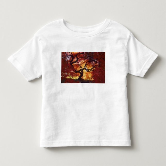 Connecticut: Darien, Japanese maple 'Acer Toddler T-shirt (Front)