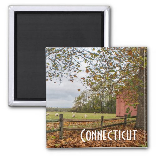 Connecticut Fall Farm Magnet