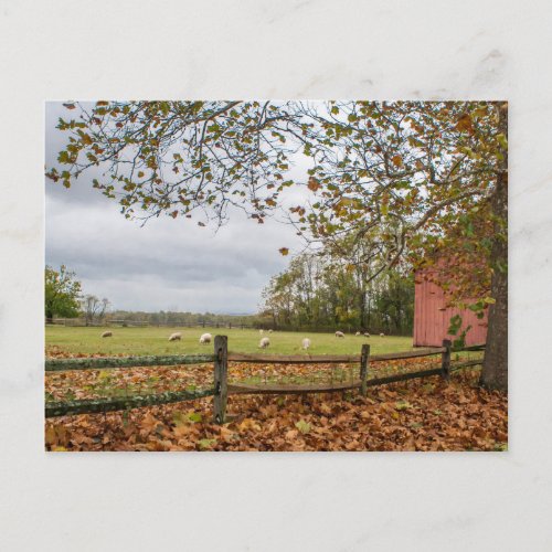 Connecticut Fall Farm Postcard